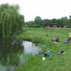zdjęcie nr 59