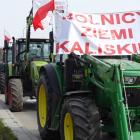zdjęcie nr 11