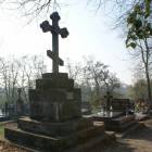 zdjęcie nr 36