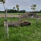 zdjęcie nr 34