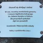 Fotka nr 2 z 3