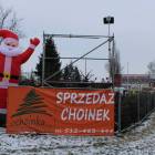 zdjęcie nr 12