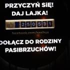 zdjęcie nr 21