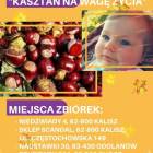 Fotka nr 0 z 7