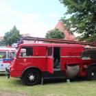 zdjęcie nr 132