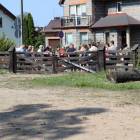 zdjęcie nr 12