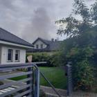 Fotka nr 5 z 7