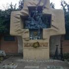 zdjęcie nr 8