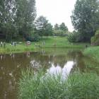 zdjęcie nr 15