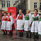 zdjęcie nr 185