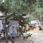 zdjęcie nr 77