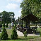 zdjęcie nr 7