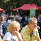 zdjęcie nr 65