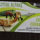 zdjęcie nr 42