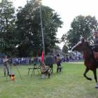 zdjęcie nr 301