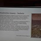 zdjęcie nr 22
