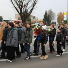 zdjęcie nr 43