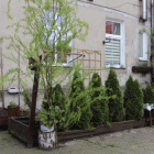 zdjęcie nr 17