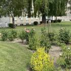 zdjęcie nr 35