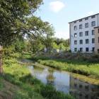 zdjęcie nr 8