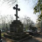 zdjęcie nr 22