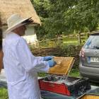 zdjęcie nr 26