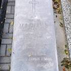zdjęcie nr 10