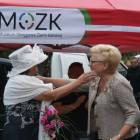 zdjęcie nr 20