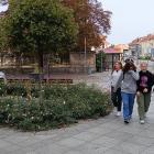 zdjęcie nr 41