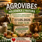 Fotka nr 0 z 1