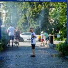zdjęcie nr 43