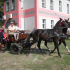 zdjęcie nr 66