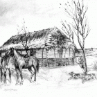 zdjęcie nr 21