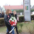 zdjęcie nr 226