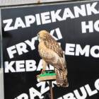 zdjęcie nr 29