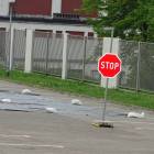 Fotka nr 5 z 21