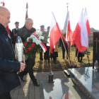 zdjęcie nr 12