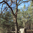 zdjęcie nr 15
