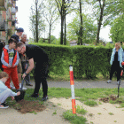 zdjęcie nr 25