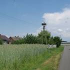 zdjęcie nr 8