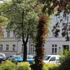 zdjęcie nr 38