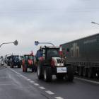 zdjęcie nr 74