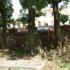 zdjęcie nr 51