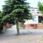 zdjęcie nr 11