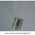 Fotka nr 5 z 7
