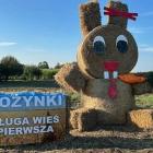 zdjęcie nr 9