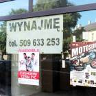 zdjęcie nr 10