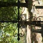 zdjęcie nr 48