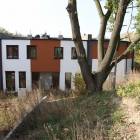 zdjęcie nr 9