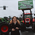 zdjęcie nr 37